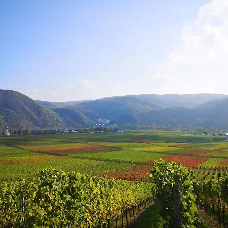 Ferienweingut Hausmann