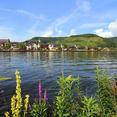 Casa de hóspedes Ferienweingut Hausmann