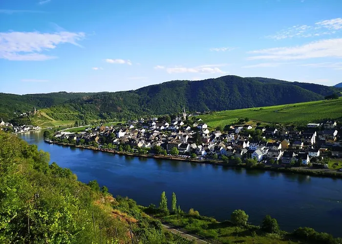 Ferienweingut Hausmann 엘렌츠폴터스도프