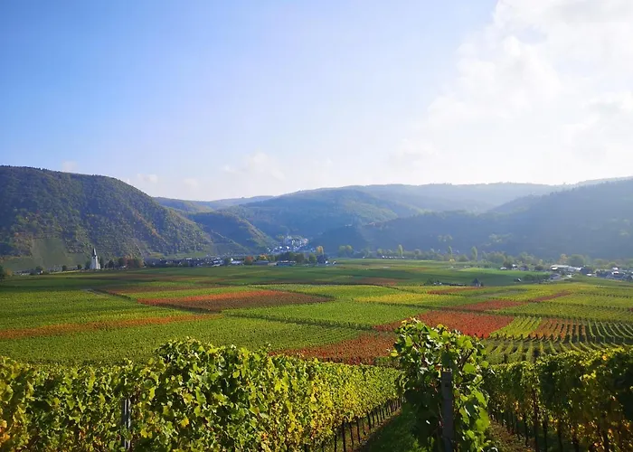 Ferienweingut Hausmann